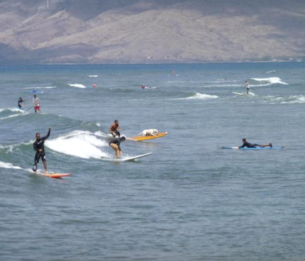 Top 10 Beginner Surf Breaks in Maui