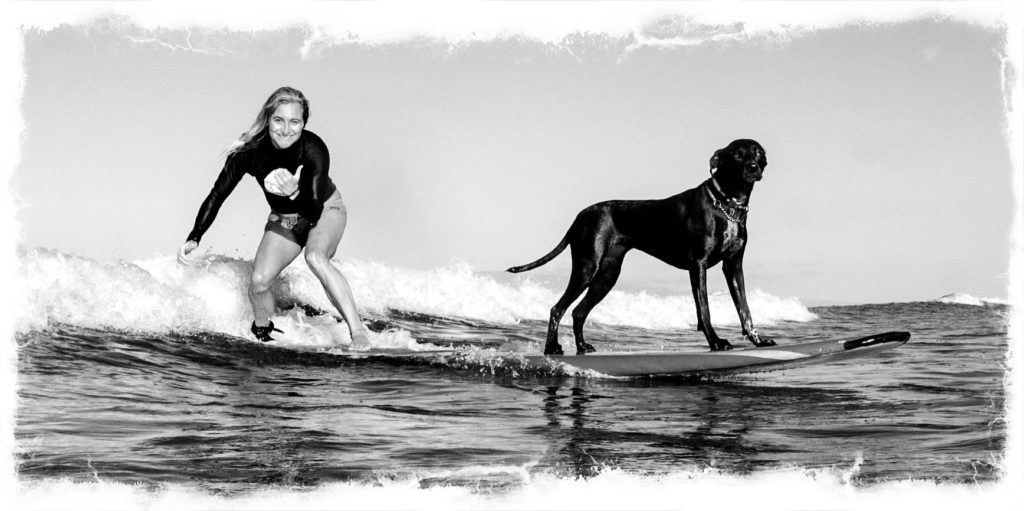 Camera+ recipe?? crop: Freeform? effect: Black & White? border: Light Grit